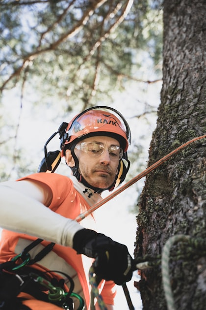 Understanding Tree Pruning